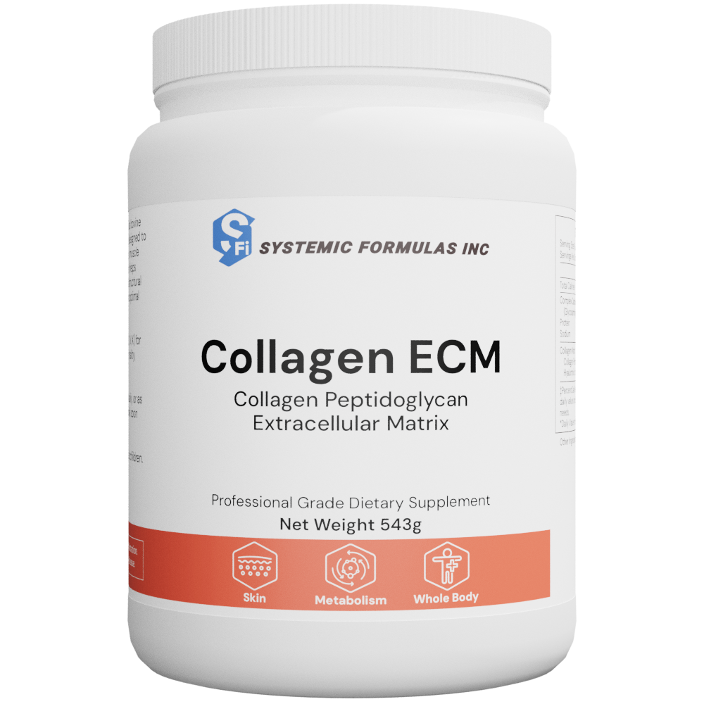 00613 - Collagen ECM - Collagen Peptidoglycan Extracellular Matrix Collagen ECM - Collagen Peptidoglycan Extracellular Matrix