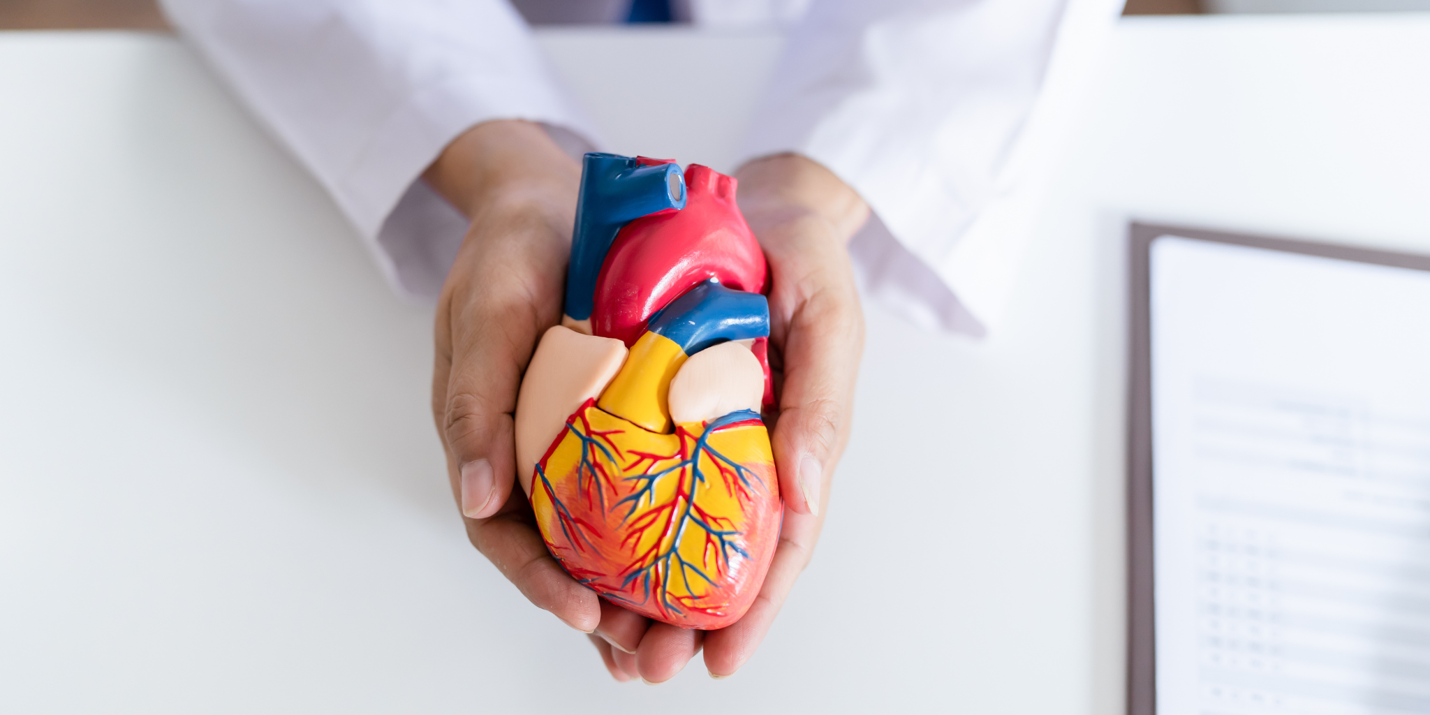 Cardiovascular Diseases - Is It In Your Genes